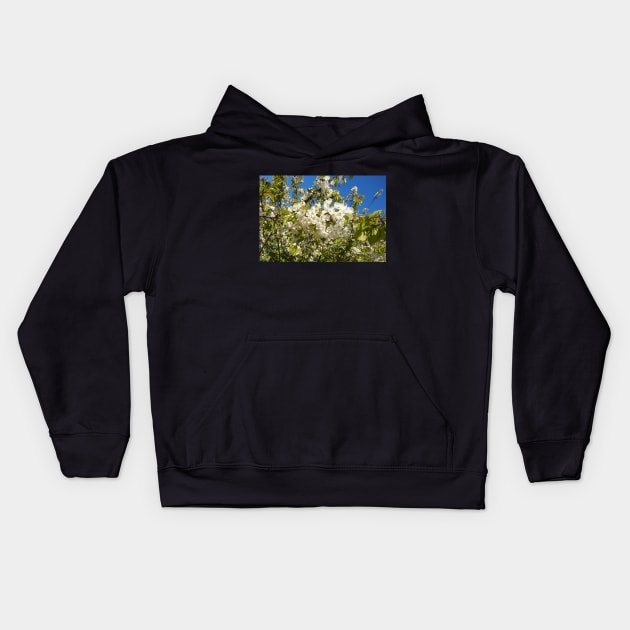 White blossom, blue sky Kids Hoodie by bettyretro